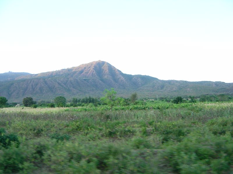 on the way -087.jpg
