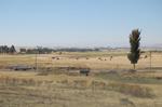 on the way -091.jpg
