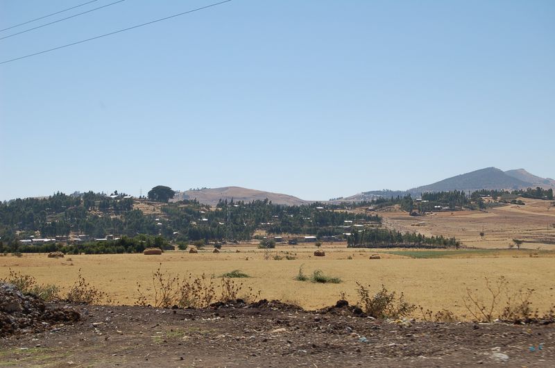 on the way -095.jpg