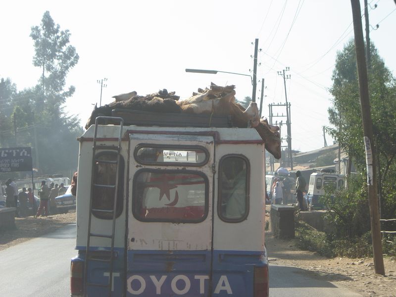on the way -097.jpg