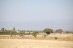on the way -224.jpg