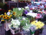 DSC00199