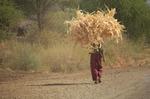 on the way -371.jpg