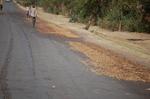 on the way -429.jpg