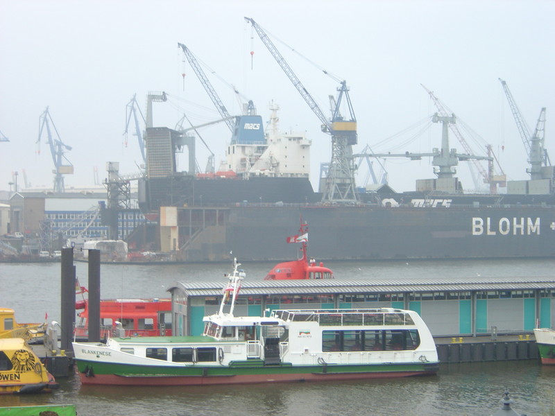DSC00210