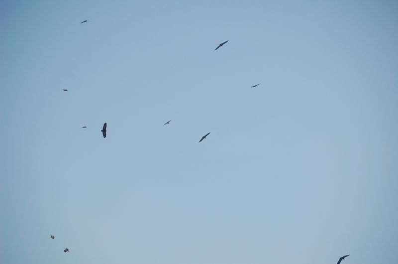 on the way -455.jpg
