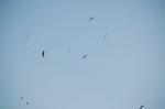 on the way -455.jpg