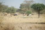 on the way -710.jpg