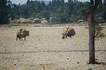 on the way -750.jpg