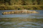 Safari Arba Minch