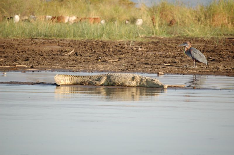 Safari Arba Minch -003.jpg