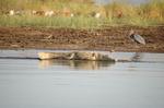 Safari Arba Minch -003.jpg