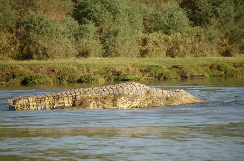Safari Arba Minch -004.jpg