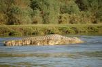 Safari Arba Minch -004.jpg