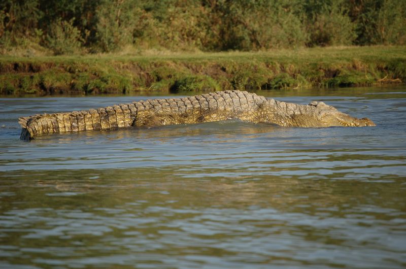 Safari Arba Minch -005.jpg