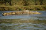 Safari Arba Minch -005.jpg