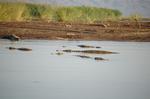 Safari Arba Minch -006.jpg