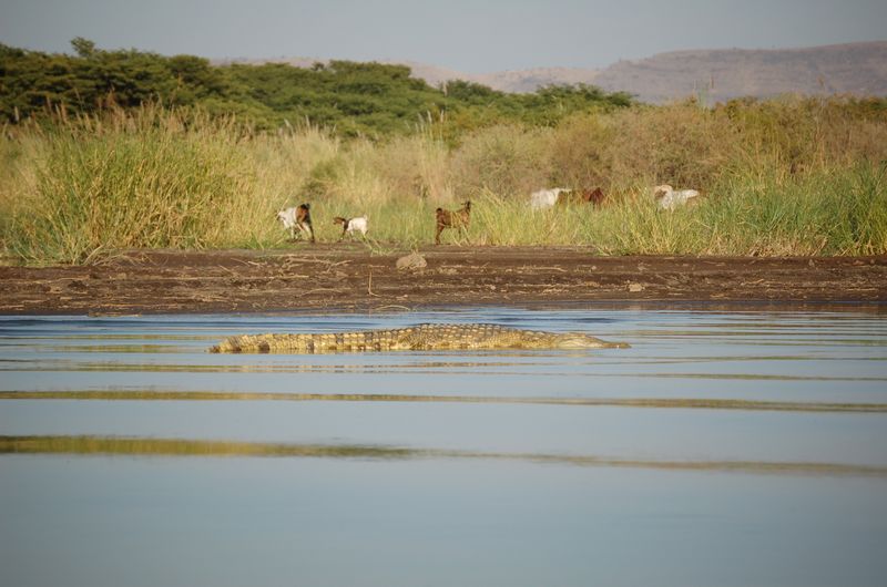 Safari Arba Minch -007.jpg