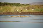Safari Arba Minch -007.jpg