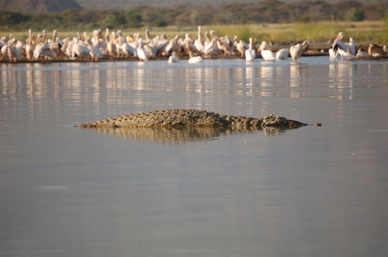 Safari Arba Minch -008.jpg