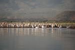 Safari Arba Minch -009.jpg