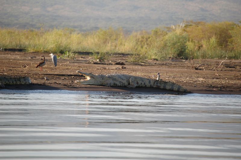 Safari Arba Minch -011.jpg