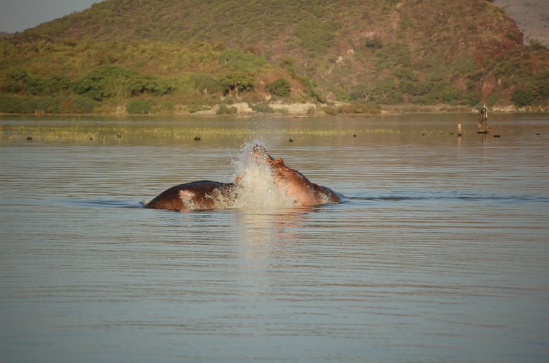 Safari Arba Minch -012.jpg