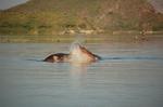 Safari Arba Minch -012.jpg