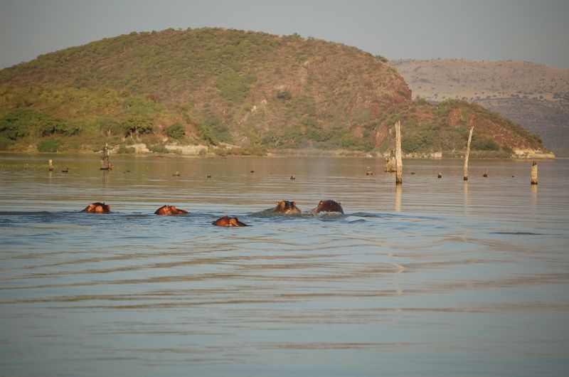 Safari Arba Minch -013.jpg