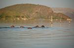Safari Arba Minch -013.jpg