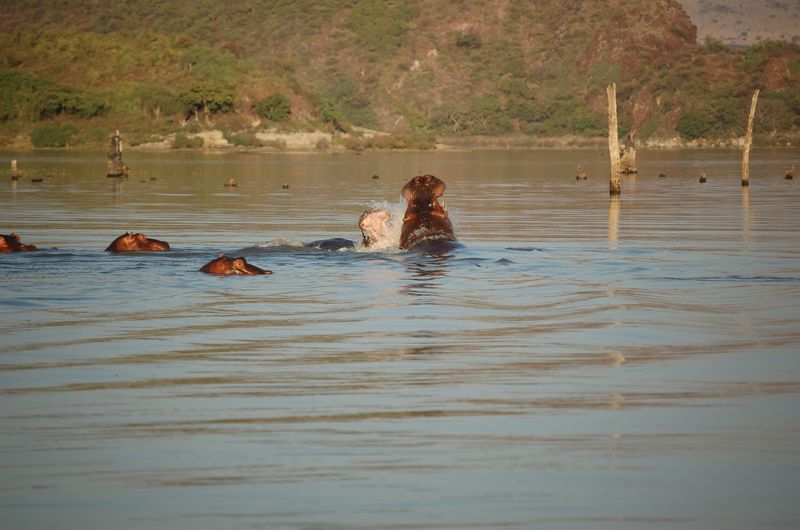 Safari Arba Minch -014.jpg