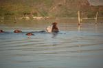 Safari Arba Minch -014.jpg