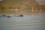 Safari Arba Minch -015.jpg