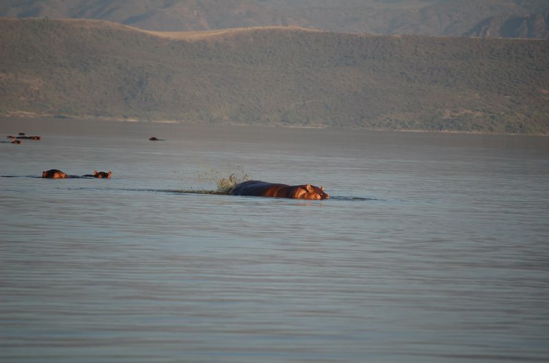 Safari Arba Minch -016.jpg