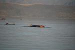 Safari Arba Minch -016.jpg