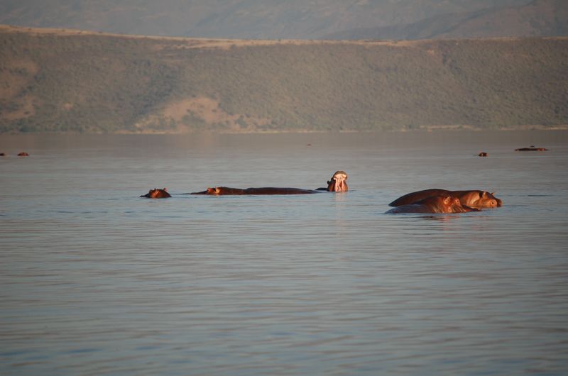Safari Arba Minch -017.jpg
