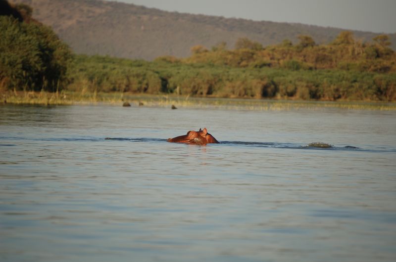 Safari Arba Minch -018.jpg