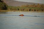Safari Arba Minch -018.jpg
