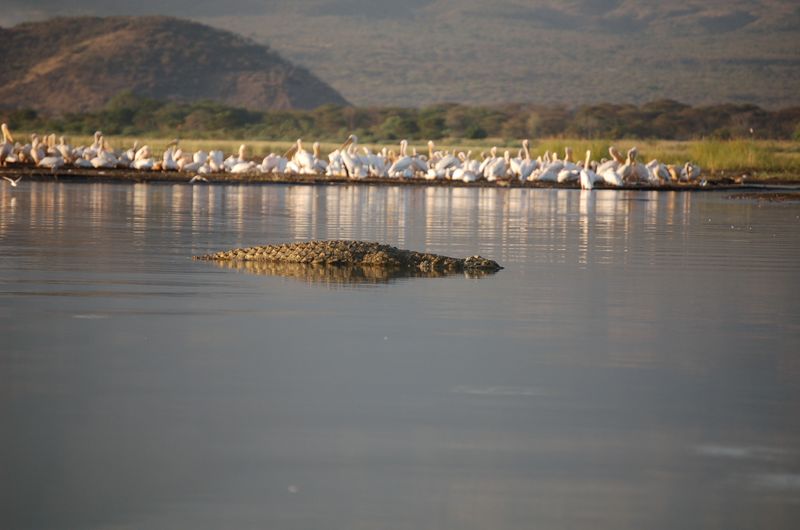 Safari Arba Minch -019.jpg