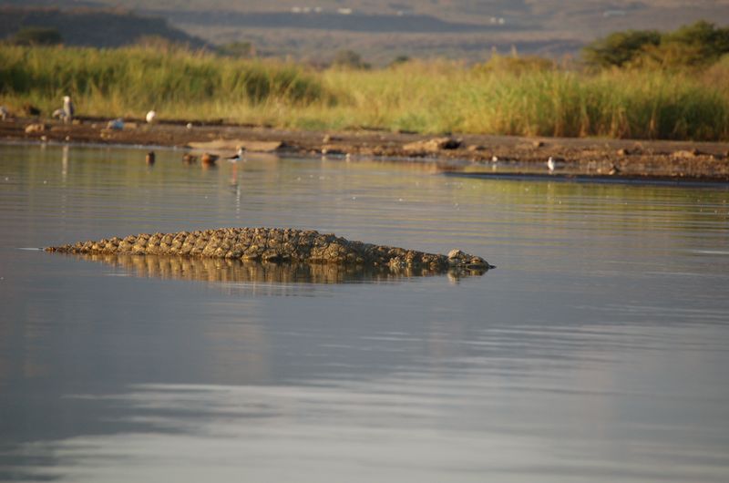 Safari Arba Minch -020.jpg