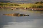 Safari Arba Minch -020.jpg