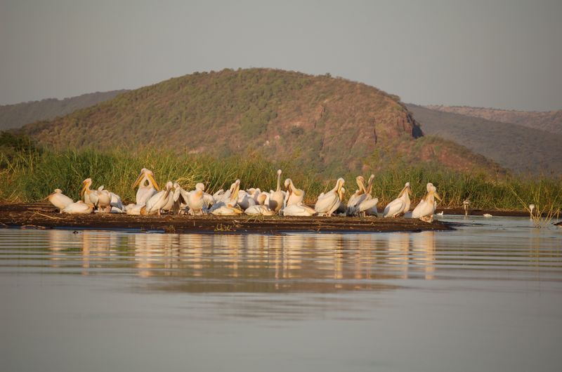 Safari Arba Minch -021.jpg