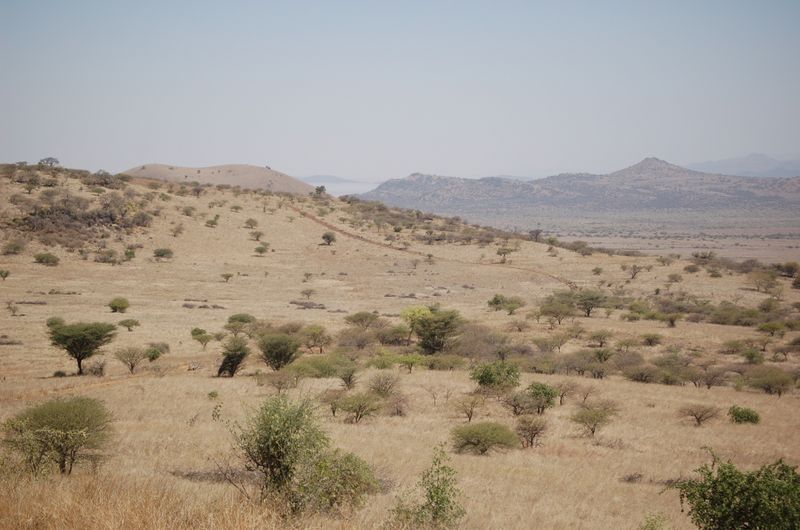 Safari Arba Minch -025.jpg