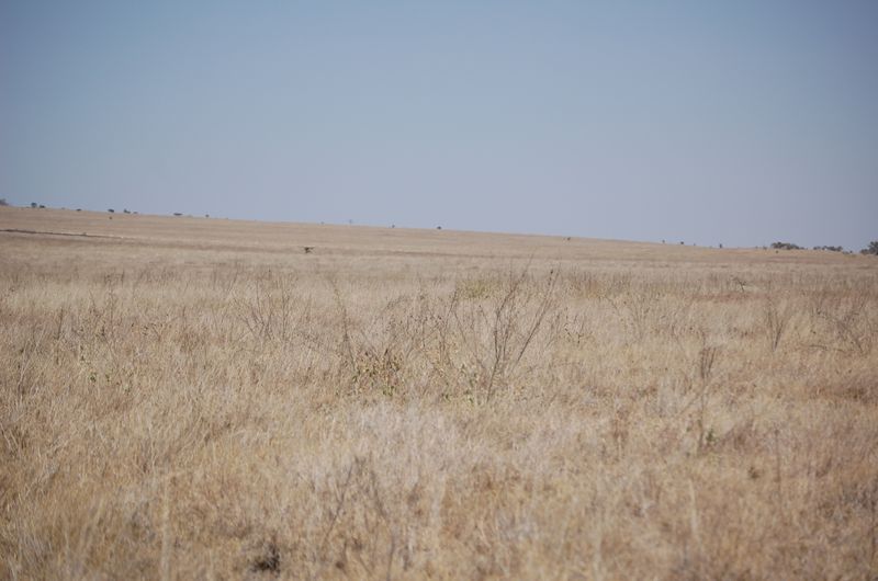 Safari Arba Minch -033.jpg