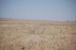 Safari Arba Minch -033.jpg