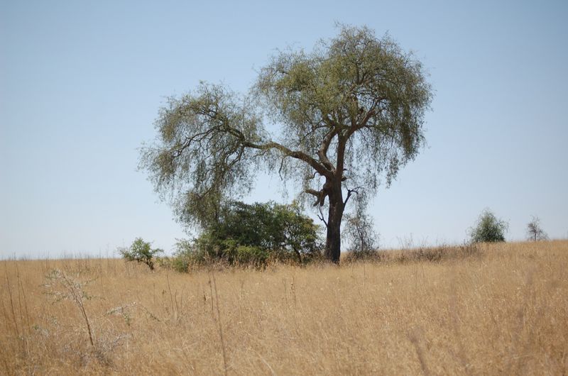 Safari Arba Minch -035.jpg