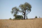 Safari Arba Minch -035.jpg