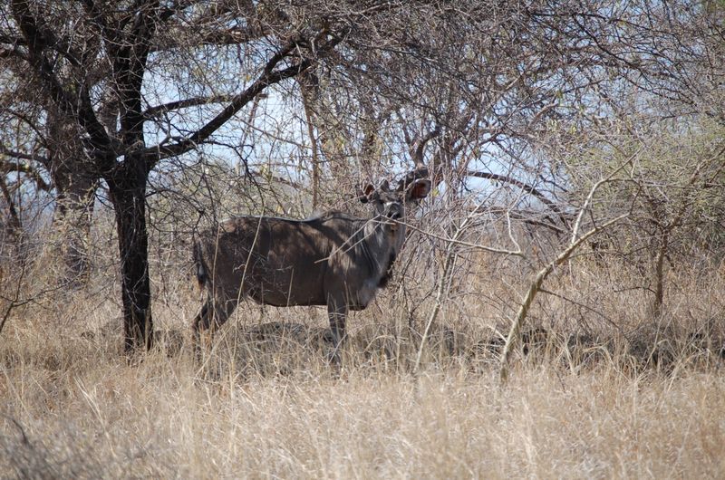 Safari Arba Minch -037.jpg