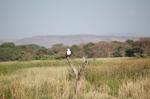 Safari Arba Minch -039.jpg