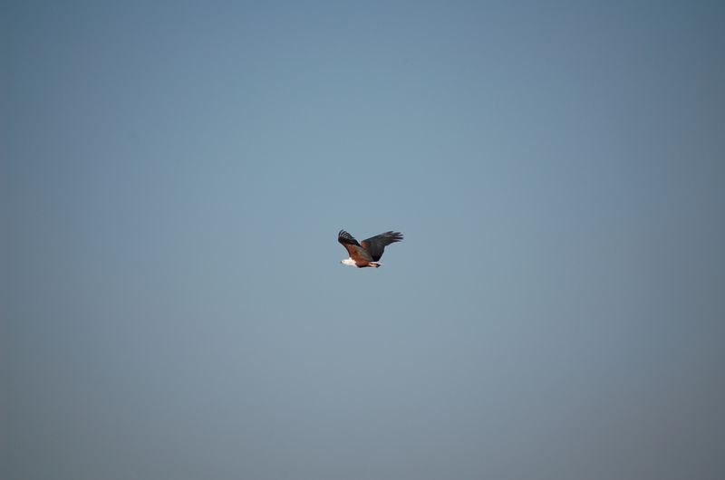 Safari Arba Minch -040.jpg